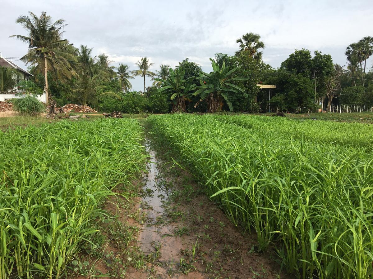 Green Life Cottage Siem Reap Exterior foto