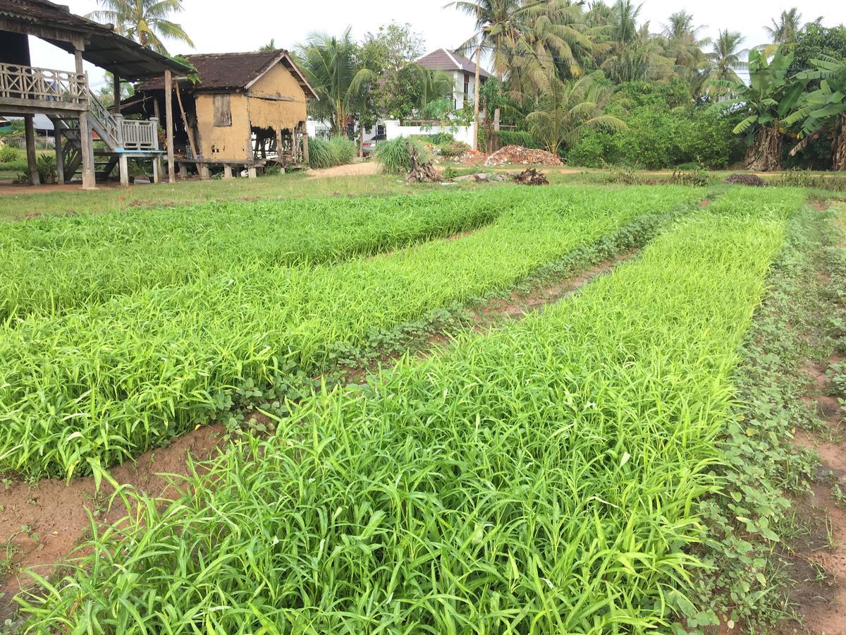 Green Life Cottage Siem Reap Exterior foto